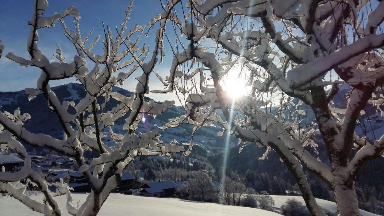 Aussermoos-Zuhaus Alpbach Exteriér fotografie